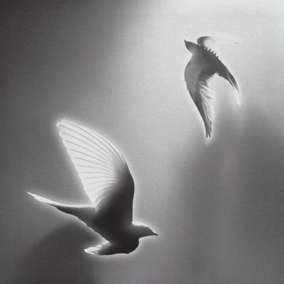 bubpow's profile picture. 