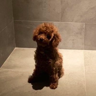 jam_xoxo95_'s profile picture. 