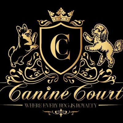 thecaninecourt's profile picture. Where pet protection meets bespoke style. Curating the finest in dog apparel, from premium shoes to leashes and bags. Welcome to The Canine Court.
​Est. 2025.