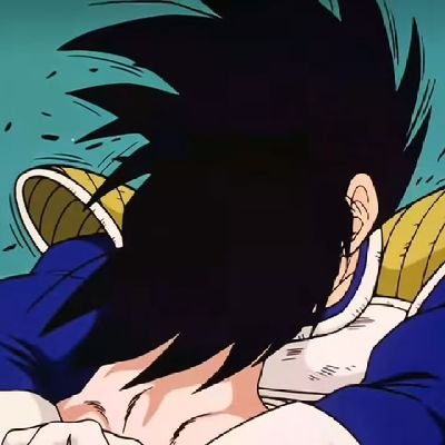 kkvgkkdaily's profile picture. Daily posts on both Goku x Vegeta dynamics (kakavege and vegekaka) 🥕🥗/🥗🥕 Mostly retweets. カカベジとベジカカ dd.