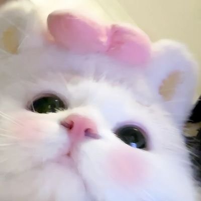 gegebabybaby's profile picture. vote, au, sambat.