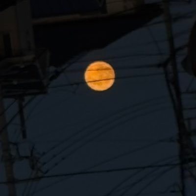 0531_02_'s profile picture. 取引垢