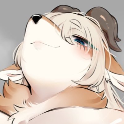 SIRNさんのプロフィール画像