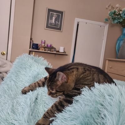 JLessard5's profile picture. 