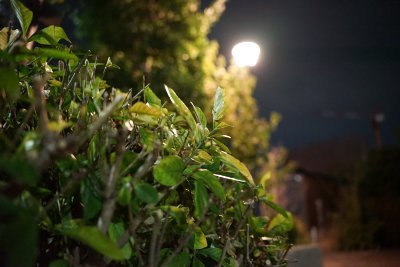 w2uxYcGQ3593409's profile picture. 写真を撮ることが趣味です。
好きな県は岐阜県です。
写真などを色々なことを挙げます。
よろしくお願いします。