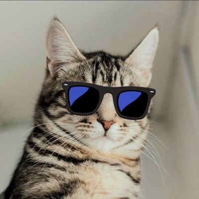 @WASD_space_jump