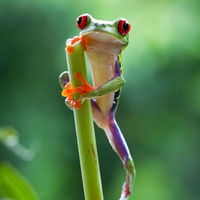 nyveto's profile picture. Kalau nggak lucu, minimal absurd 🤡