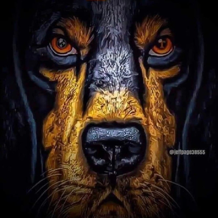 Yankee_b79's profile picture. 