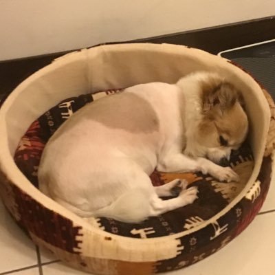 zheng42465's profile picture. 
