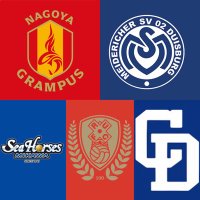 狩夜 静岡のぼっちグラサポ ⏭横浜FC戦 (@kariya_2112) 's Twitter Profile Photo