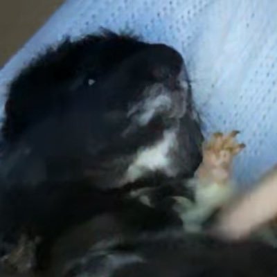 Noelsexacc61081's profile picture. 