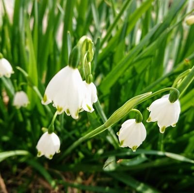 Rwcm9iMers6714's profile picture. 前垢バン？呟いても表示されなくなったから移行しました🥹
移行してもだめだこりゃ、表示されんわ