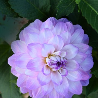 Elisha92218's profile picture. Retweeting does not imply endorsement. 🚫pornographic🚫robotics