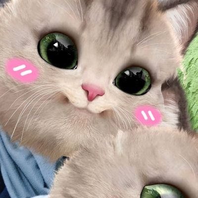 yyukicakep's profile picture. 