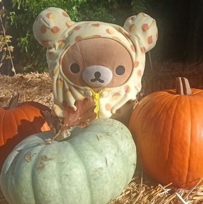 DeadBhones's profile picture. ed/sh
Ugw: 111lbs.

because life lowkey sucked when I was fat😃