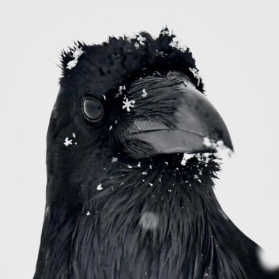 5Sovereign's profile picture. 17 ; @OMiTBrooklyn