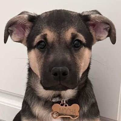 Txylk469's profile picture. Let's Fucking Go