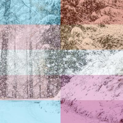 melisneve's profile picture.