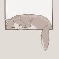 vYe3Hzysak70203's profile picture. 
