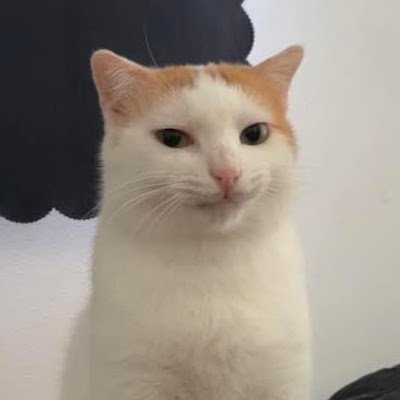 csharphehe1's profile picture.