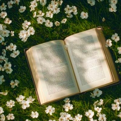 the_quiet_pages's profile picture.