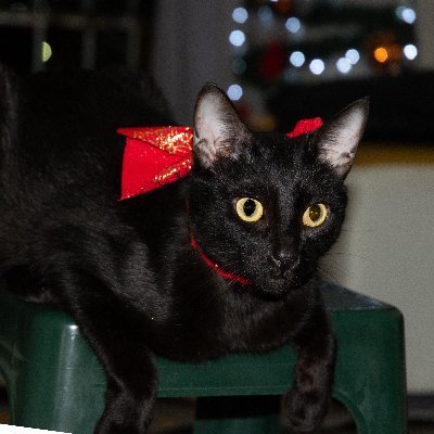 reinaldolugo120's profile picture. 