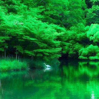 BFAVpaNoGU39622's profile picture. 政治とこの国の未来🇯🇵