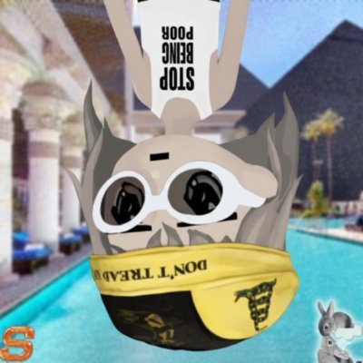 nolapumpfun's profile picture. 