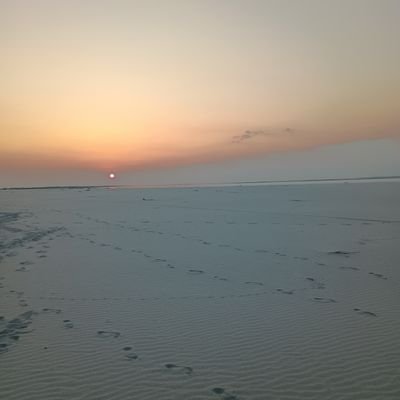 AshrafSiddikNa1's profile picture. 