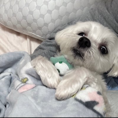 J8169361718536's profile picture. 