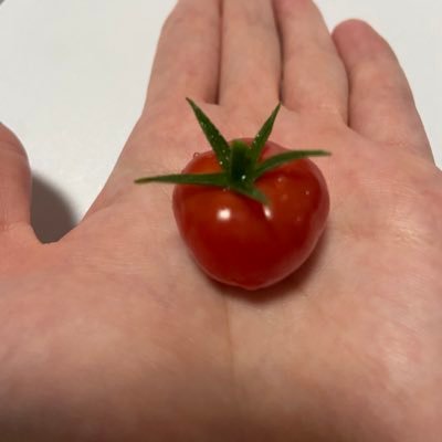 asu081's profile picture. たまにみてます😇