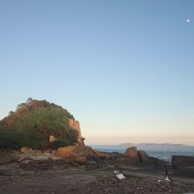 wTzyIvyWze62111's profile picture. 
