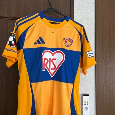 n0s3z2k7's profile picture. ベガルタ仙台と競馬とマラソンをこよなく愛するレベル33のオスです。#11郷家友太 2025.10.19いわて盛岡シティマラソン出場予定。