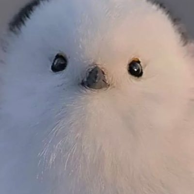 ooao_m's profile picture. 20^