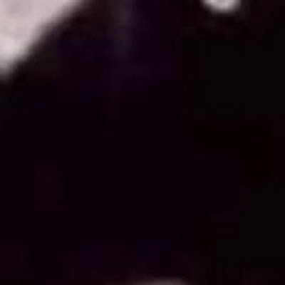 ZAlvin59699's profile picture. 