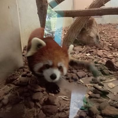 k1968413's profile picture. 