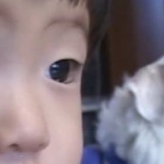 oyasumionemu_'s profile picture. 