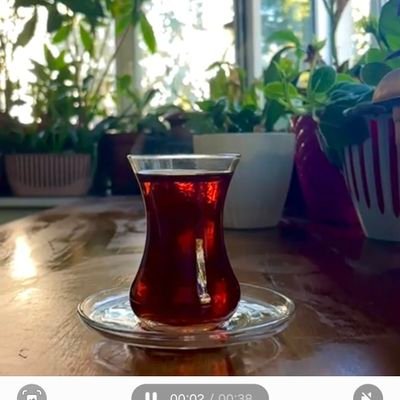 fatmabek19's profile picture. 