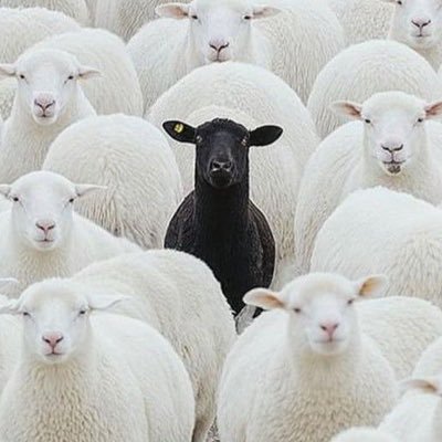 LongSiempre's profile picture. Índices | Acciones | No cryptos. Pertenezco al exclusivo 5% del planeta.