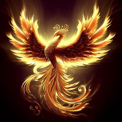 candost0505's profile picture. 