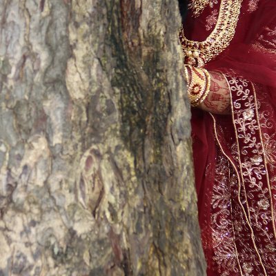 mehedi8897895's profile picture. 