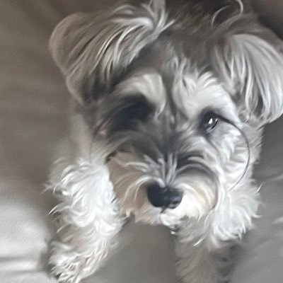 sLkePB7B8k25146's profile picture. 