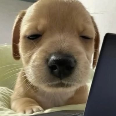 codingdoek77's profile picture. IT 프로그래밍 트렌드