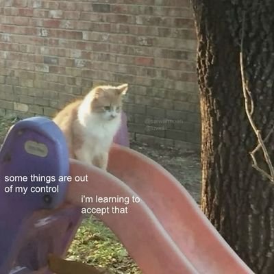 notmuehehe's profile picture. very poor and very stupid