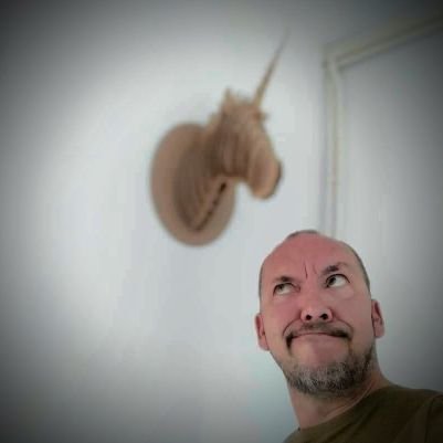 @vikinggeek44600