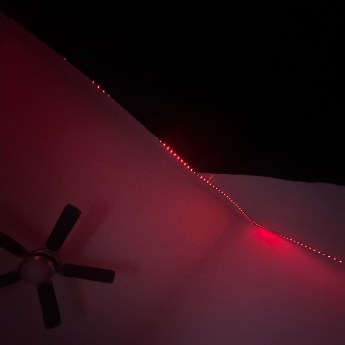 DTB_Korrii's profile picture. 