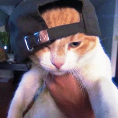 babebiee165441's profile picture.