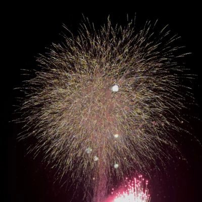 borumanee's profile picture. 素直に生きている。