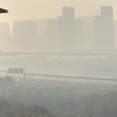 dngjyng2's profile picture. 