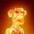 Ryan Cole avatar